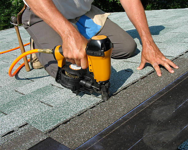 Best Storm Damage Roof Repair  in Donna, TX