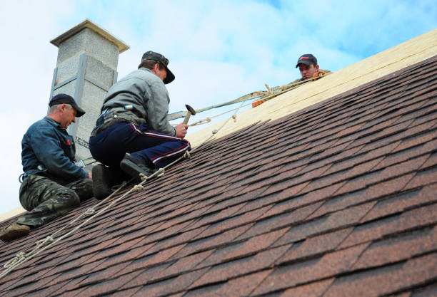Best Local Roofing Companies  in Donna, TX
